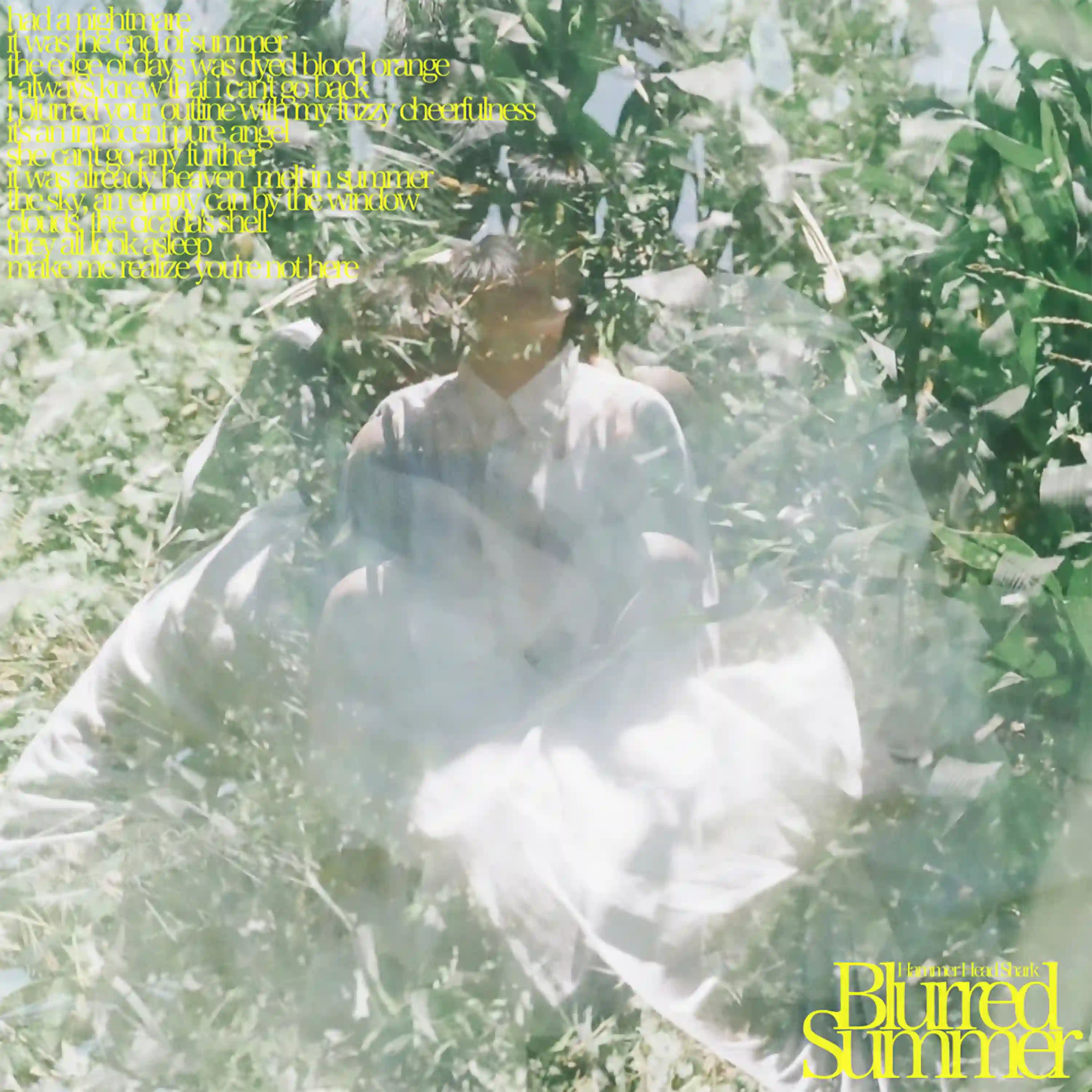 Hammer Head Shark　 LP　27°C　レコード Hammer Head Shark LP 27°C レコード