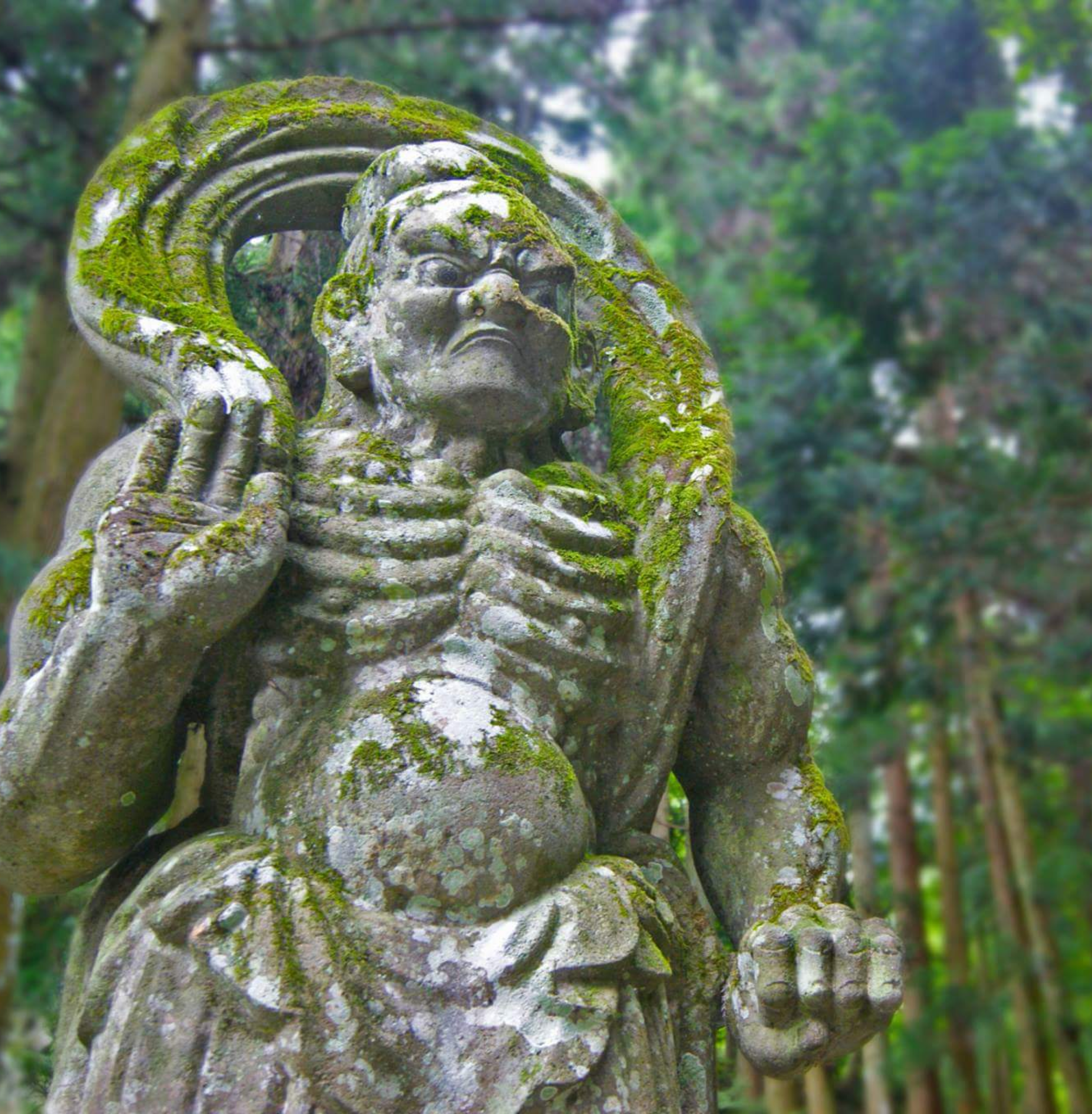 スノーモンキー 日本の温泉 露天風呂 富裕層旅行 ラグジュアリー体験