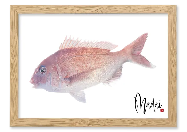 s-1200x848_v-fms_webp_13ea4fd0