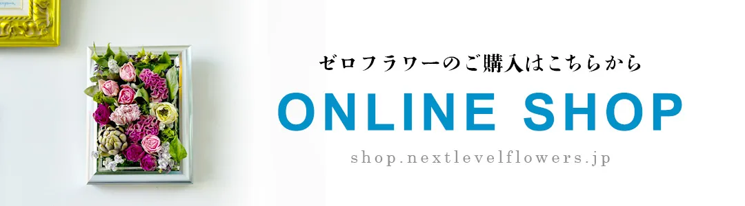 フリーズドライフラワー｜ギフト専門店｜Next Level Flowers Japan