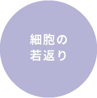 細胞の若返り