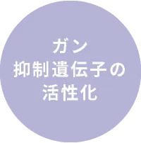 ガン抑制遺伝子の活性化