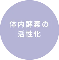体内酵素の活性化