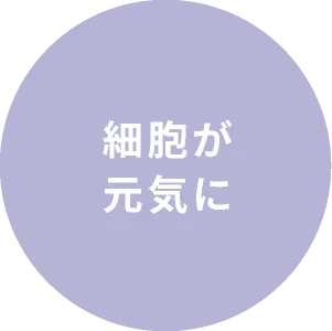 細胞が元気に