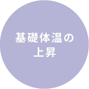 基礎体温の上昇