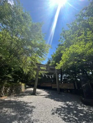 数日前に　玉置神社に行こうと決めて　金曜日に日帰りで行きました。

なかなか遠い場所だと聞いてましたが、問題なくスムーズに玉置神社に着いた時間は12時10分。天国のワンコの誕生日1210がいつも大事な時にサインを出してきます🐩

抽象度の高いエネルギー場でした。
最初に玉置神社の山頂から入り、玉石社へ降りてくるコースで参拝しました。　
山頂までの木々の中がとにかく気持ちよくて涼しい風でした。さすが　風の神がいる場✨
玉石社から水神の辺りまで30〜33次元意識くらい、なんと清らかな。

水神の先に三柱社。
今回、行くと決めたら　ウカノミタマがずっと意識に上がっていて、朝起きた時、赤を着て来ておいでと言われてるような気がして、滅多に着ない赤のリネンを着て行きました。
数年前、ご縁あって作っていただいたウカノミタマのペンダントを持っていこうと思ったのに忘れてしまい　だけど自分のエネルギー場に情報は入るから　何も必要ないことを理解しました。

玉置神社の御祭神、国常立尊は目黒の家の真ん前、大鳥神社の祭神でもあり、神々のご縁の繋がりを深く強く感じます。
いつも3 が応援していると言われるけれど、
三柱！こちらも3。三朝ラドンも3。数秘も3。
とにかく　いろいろ3 ！なのです。笑

ここ数年で気づいてきたこと、関わりある神々が勢揃いされていて心地よい場で3時間くらい居ました。
本殿の中には黒蝶が🦋飛び回っていましたよ。

大日如来、最後に白山菊理姫、大山祇の神まで神仏習合の場でした。

必要なタイミングで行った場所の
エネルギーとメッセージをLaboや自分が関わる仕事にも活かすように感じてます。
行かれる方は直接、場の情報を是非✨

行くまでがかなり困難な場所だと聞いてましたが、すんなり日帰りで行きました。確かに遠いです。

お若い神職さんとお話しして、柔らかく、楽しんでご奉仕されているような方でした✨
息子が神職の学びをしていることを話すと
息子さんにお伝えください！
神職楽しいですよ！と　笑顔が軽やかな神職さんでした。

帰りにめちゃ熱い温泉♨️に入りました。

先月は日帰り福岡✈️宗像大社〜中津宮まで。
こちらの水神は20次元くらい。

今年は　あちこち行かなくていいかと思ってましたが、まだ必要あるようでかなり次元の高い場に行かされてます。

基本的に日帰りを希望します😆
東京に家があるからできること。
鹿嶋だったら無理でした。
2拠点にしたこと　ピンと来たら準備して、行動にでること　後から振り返ってわかる　
ピンと来たこと　ほぼ正解だったと腑に落ちる✨