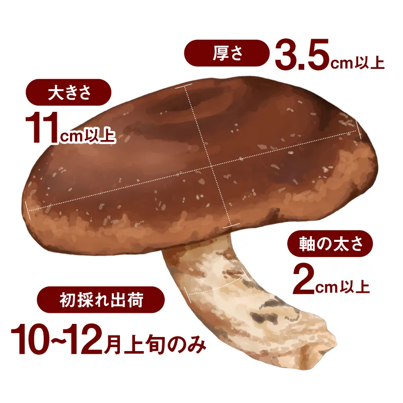 048-shitake2kg02.jpg