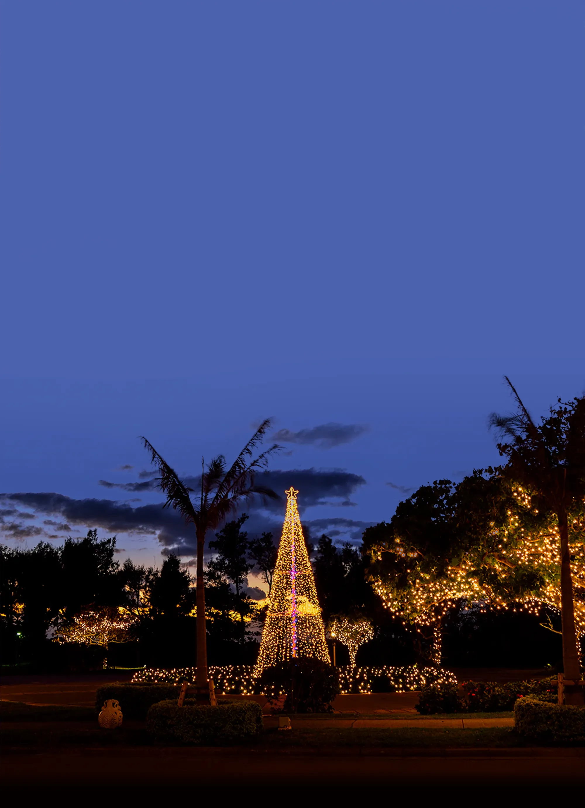 星降るテラス　南の島のセレブレーション