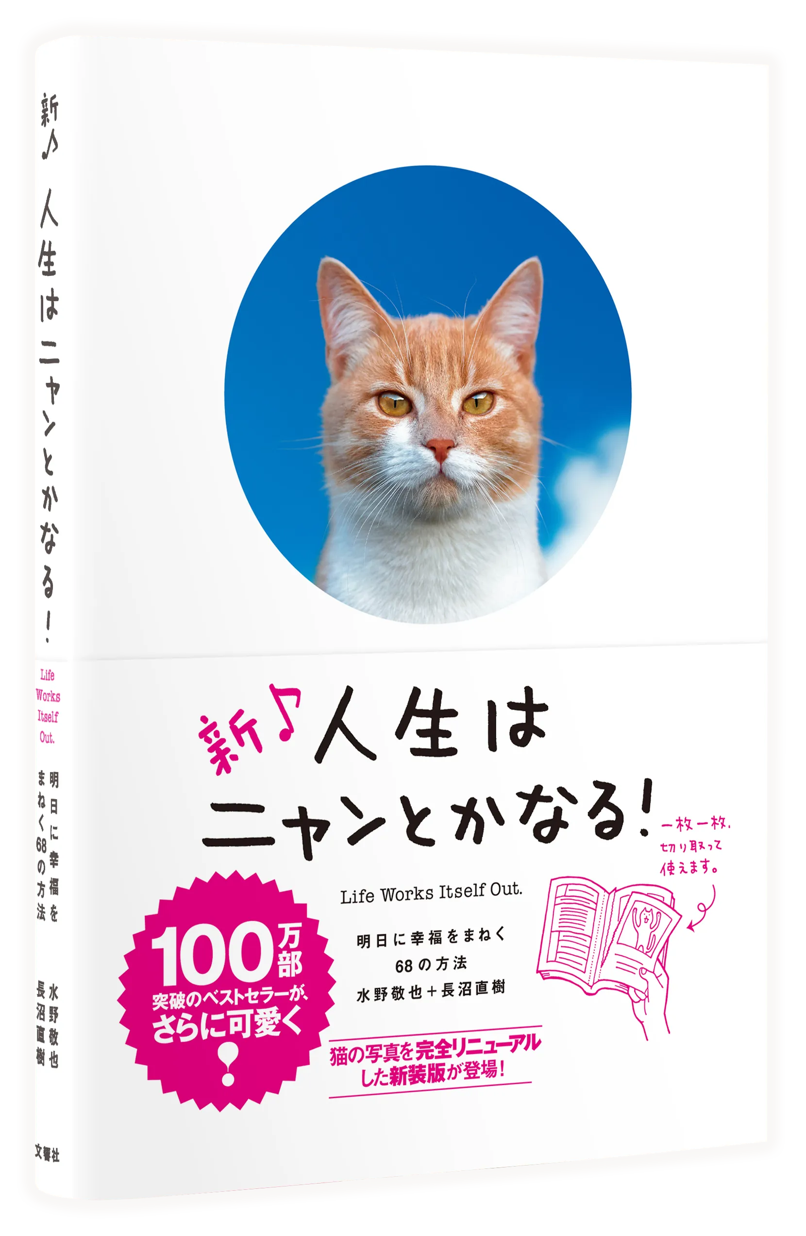 新♪人生はニャンとかなる！」人生で大切なことは、すべてねこが教えて