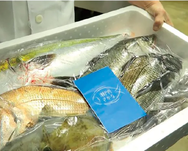 瀬戸内さかなが届くまで｜【公式】瀬戸内さかな