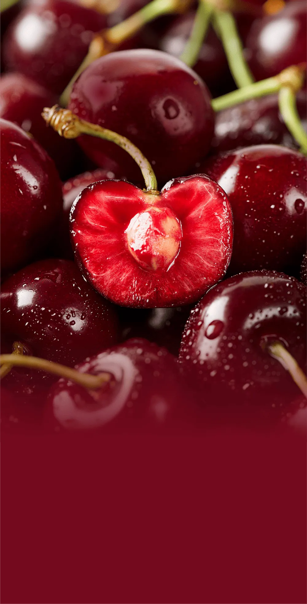 ダークチェリー 世界一空気が綺麗な島の恵み、タスマニア産ダークチェリー