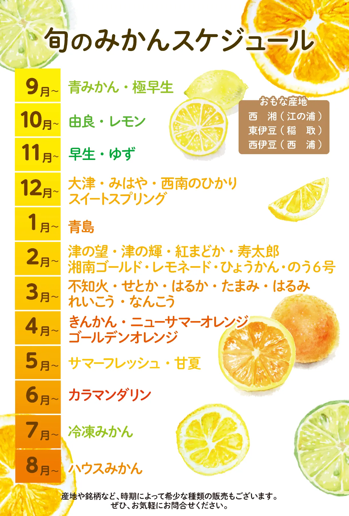 かんこうきゃく ソニア ミカン かんこうきゃく ソニア ミカン