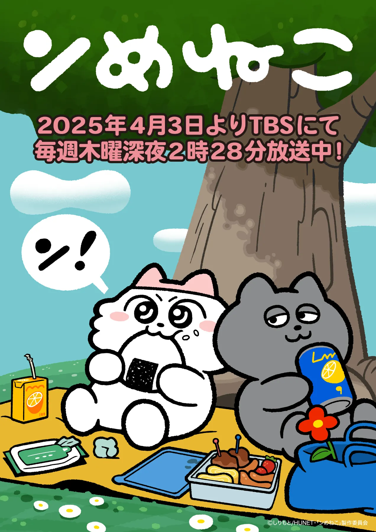 TVアニメ「ンめねこ」公式サイト ンめねこ SEGAラッキーくじ