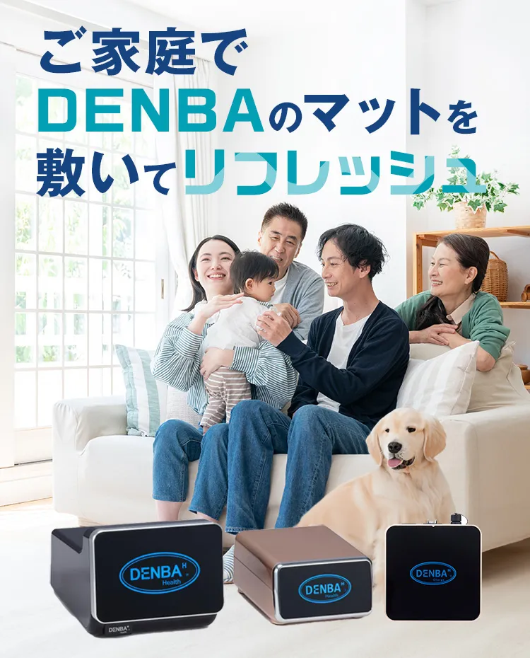 デンバヘルス DENBA HEALTH ハイグレード 定価 90万円 - 美容/健康