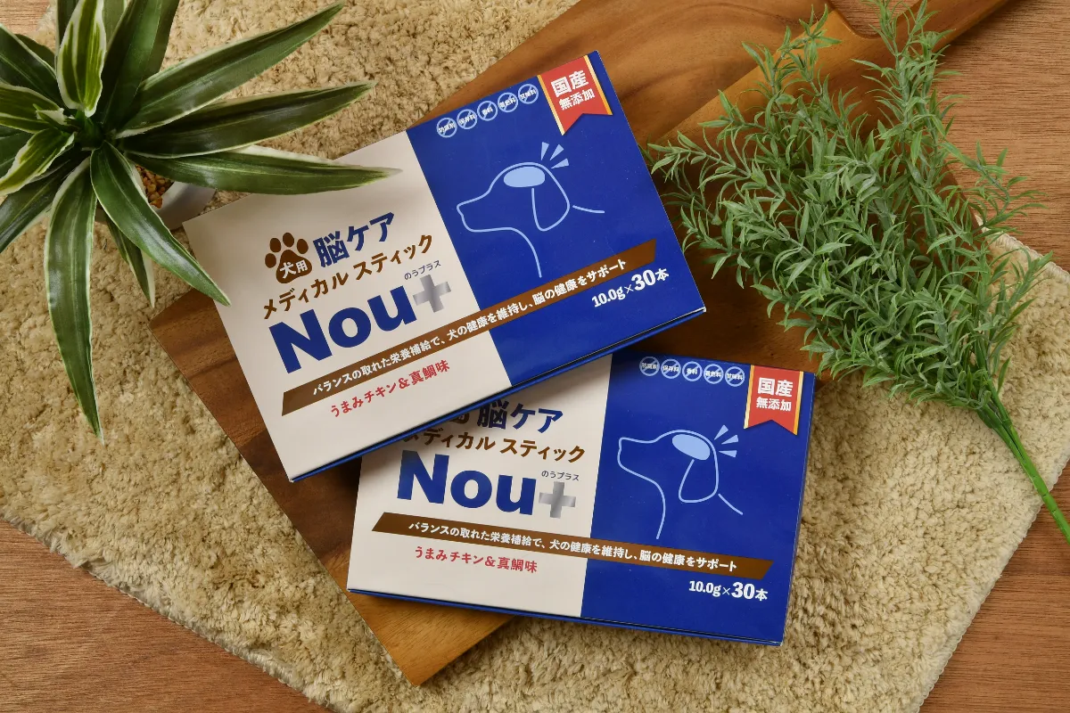 うちのこげんき