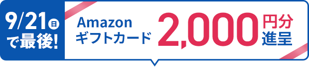 小学2年生 | 進研ゼミ小学講座： チャレンジ／チャレンジタッチ