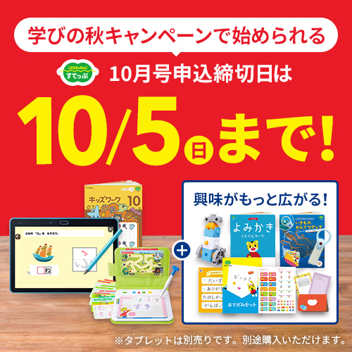 こどもちゃれんじ　すてっぷ　キッズワーク　キッズワークプラス　25冊セット こどもちゃれんじ すてっぷ キッズワーク キッズワークプラス 25