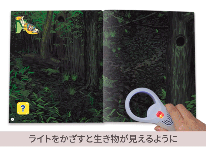 期間限定値下げ　こどもちゃれんじ　すてっぷ　年中さん　DVD　絵本　エデュトイ こどもちゃれんじ すてっぷ DVD エデュトイ 知育玩具 絵本