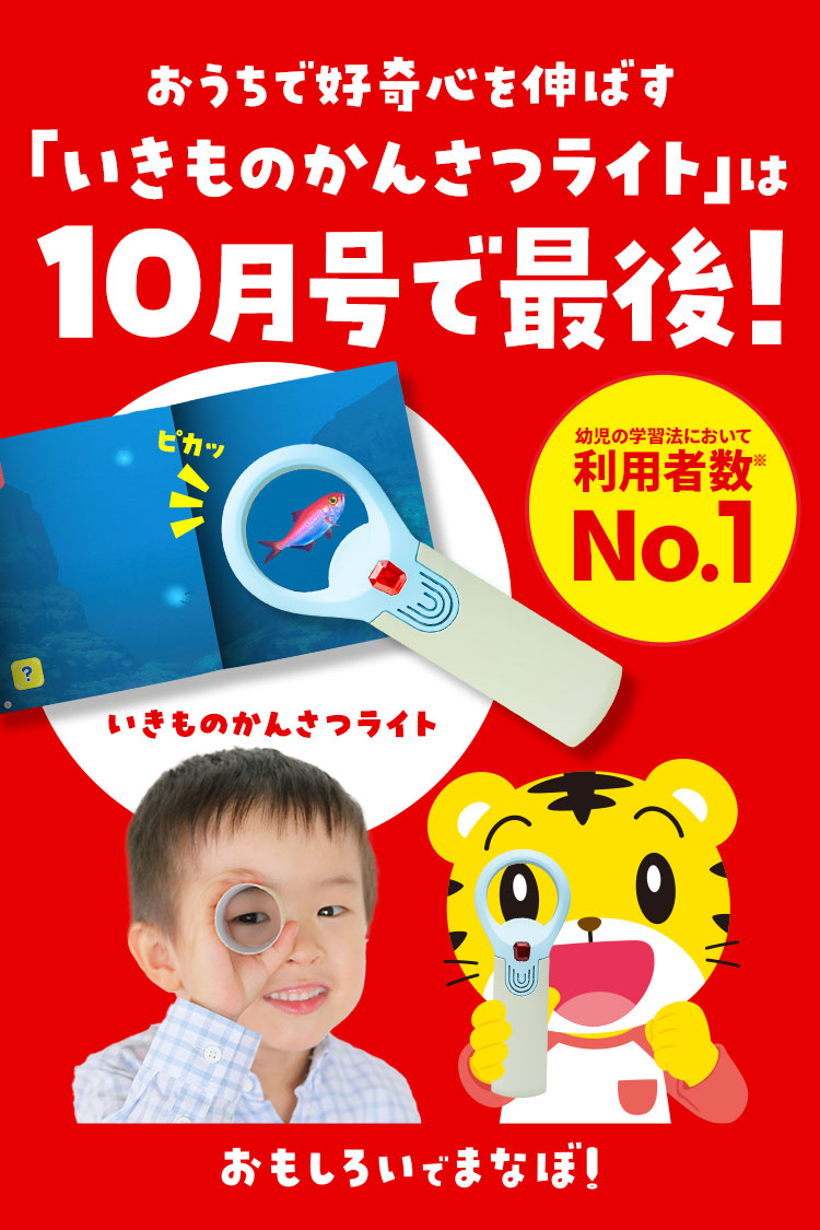 年中さん(4・5歳)向け通信教育 〈すてっぷ〉｜ベネッセ