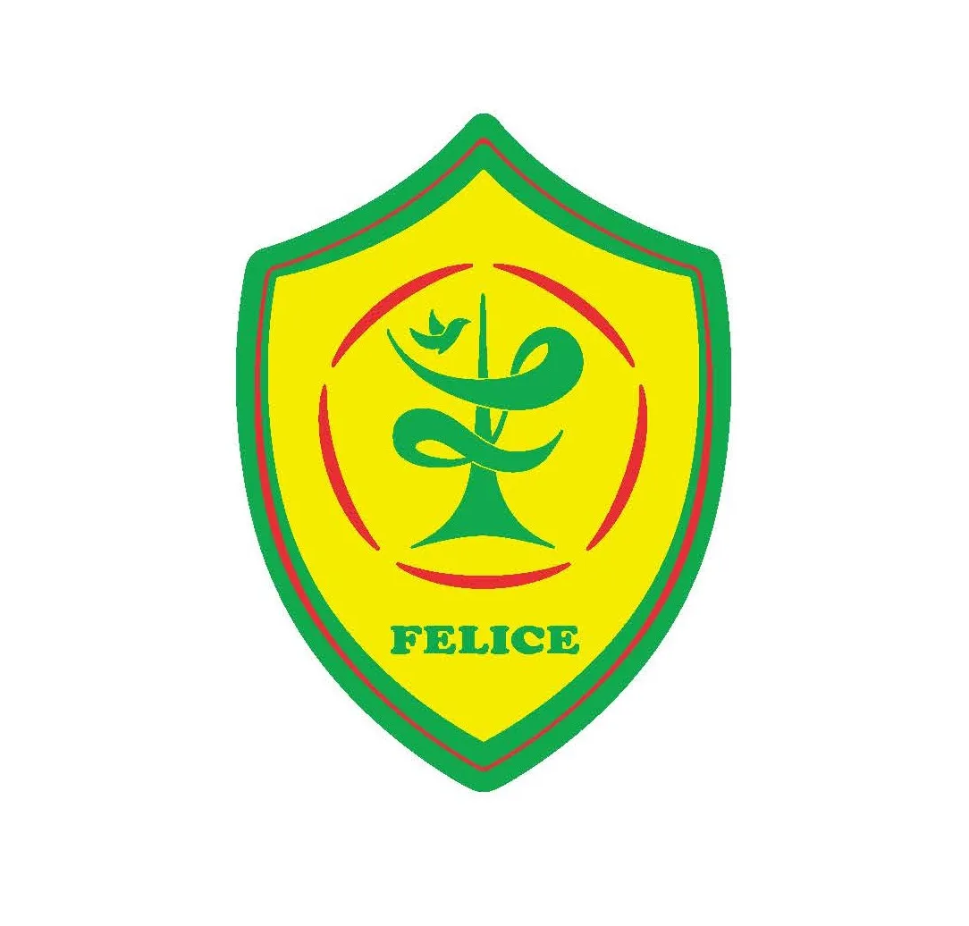 フェリーチェf C 浦安 一般社団法人feliceスポーツクラブofficialwebsite