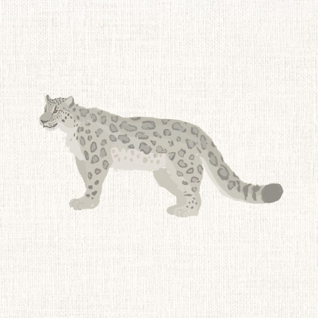 オランウータン｜とっておきの動物図鑑