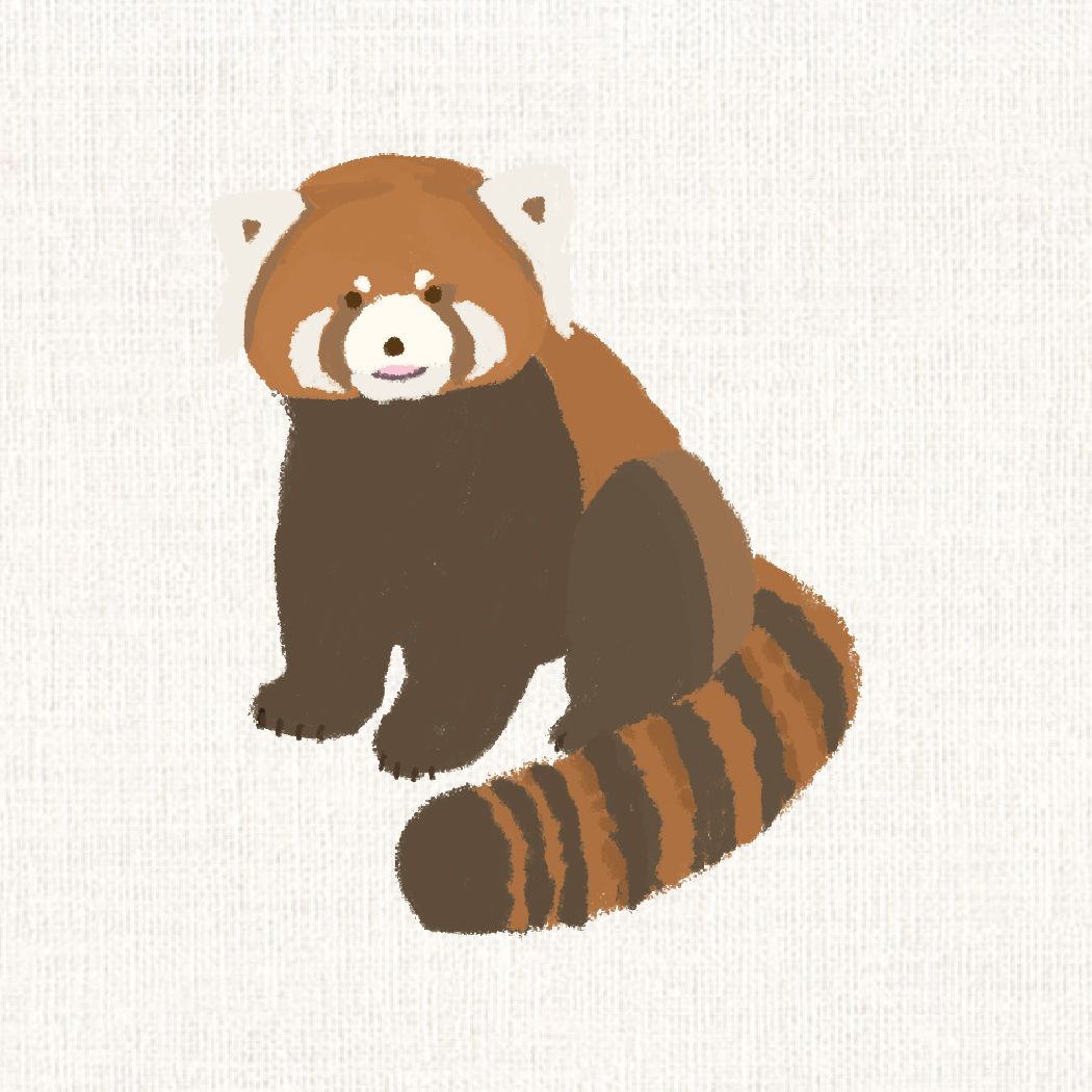 アフリカゾウ｜とっておきの動物図鑑, image size:1050x1050