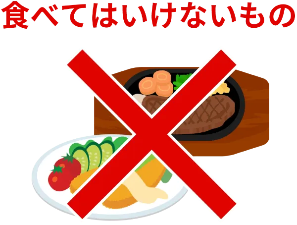 内視鏡検査を受けた方へ 琉生病院