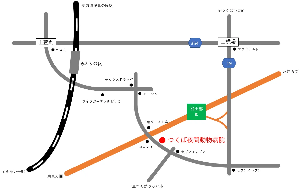 つくば夜間動物病院 つくば夜間動物病院