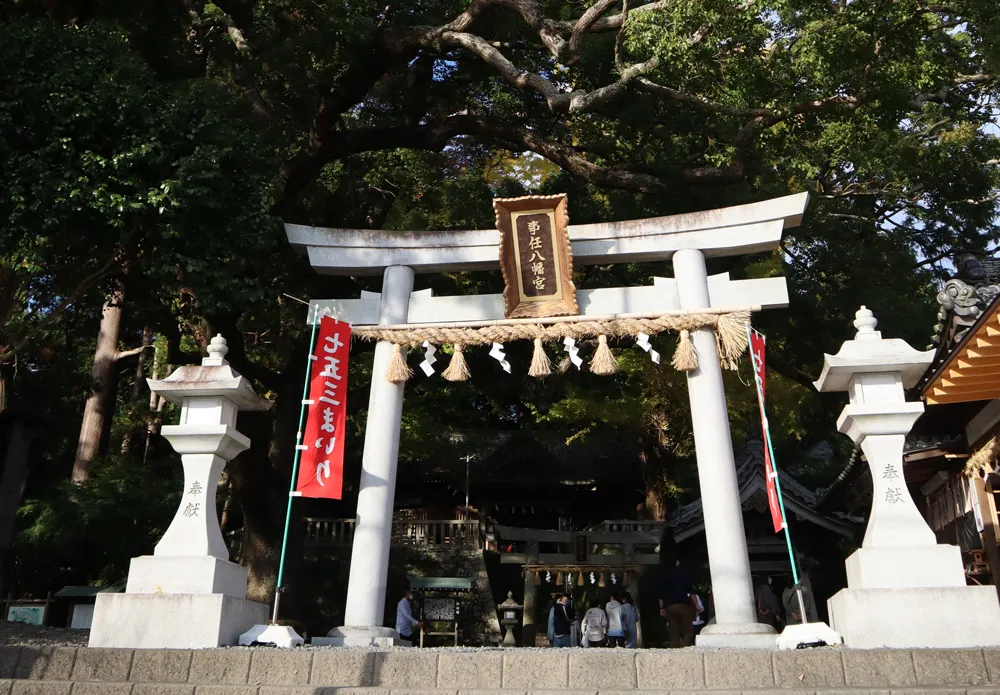 開運占いカフェ七夢 事任八幡宮の麓にある占いカフェ 静岡県掛川市