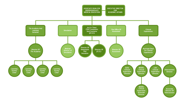 College Organization Tree