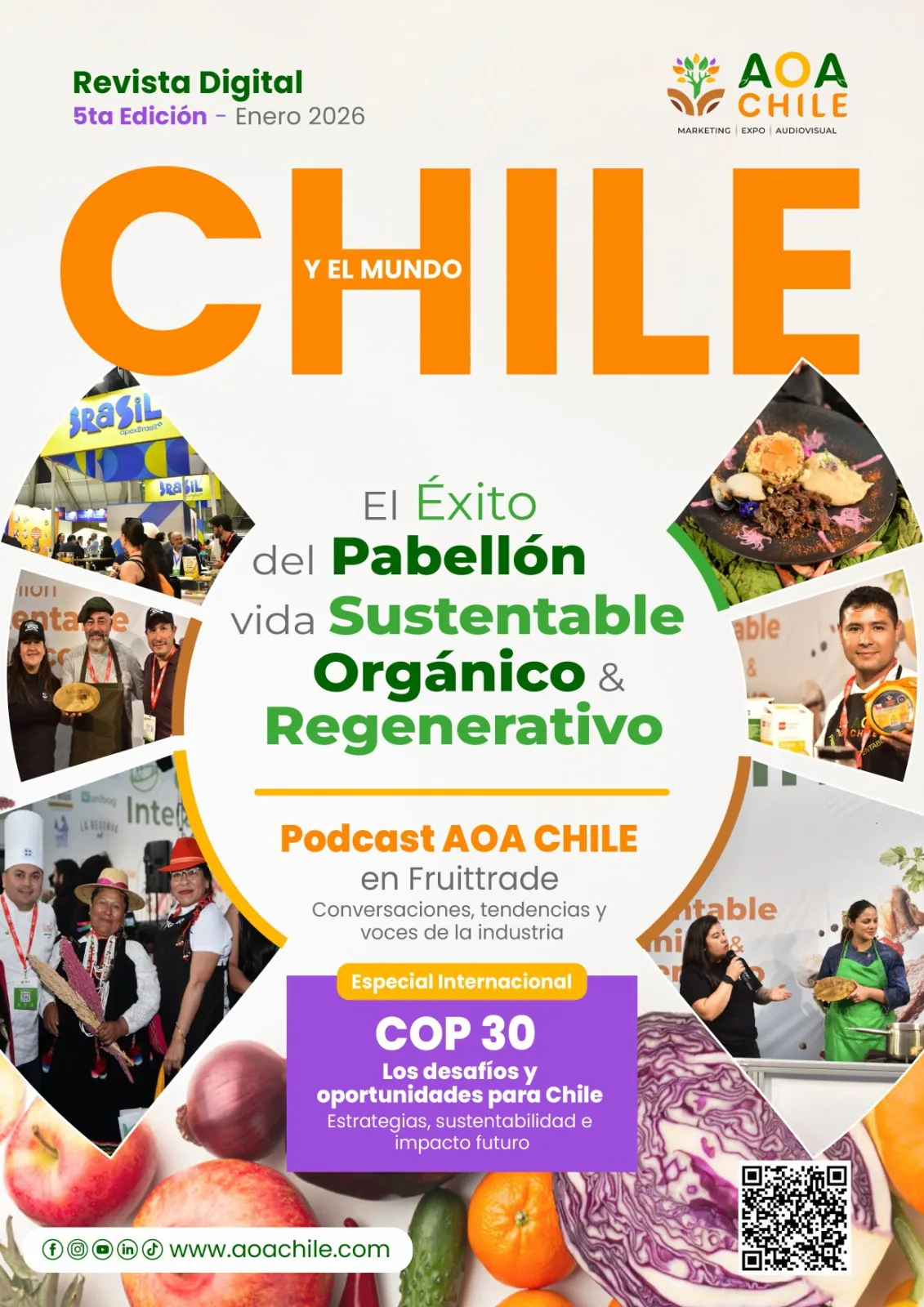 Portada revista 2026