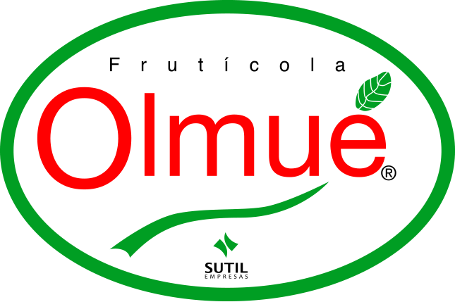 Olmue