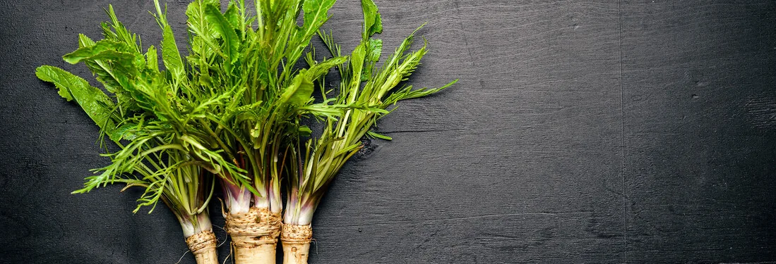 Biofach Brasil · São Paulo