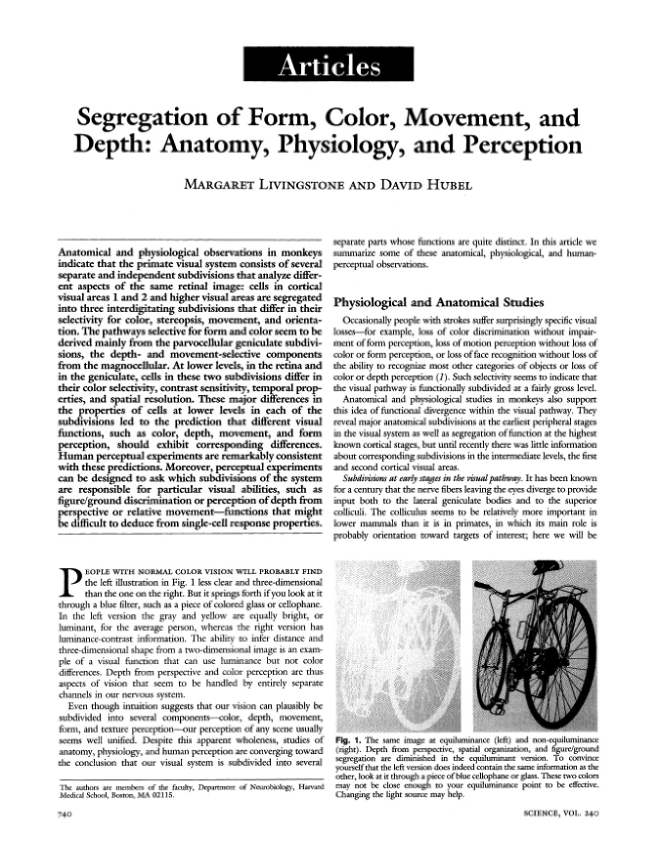 Sensory Segregation of Color and Form