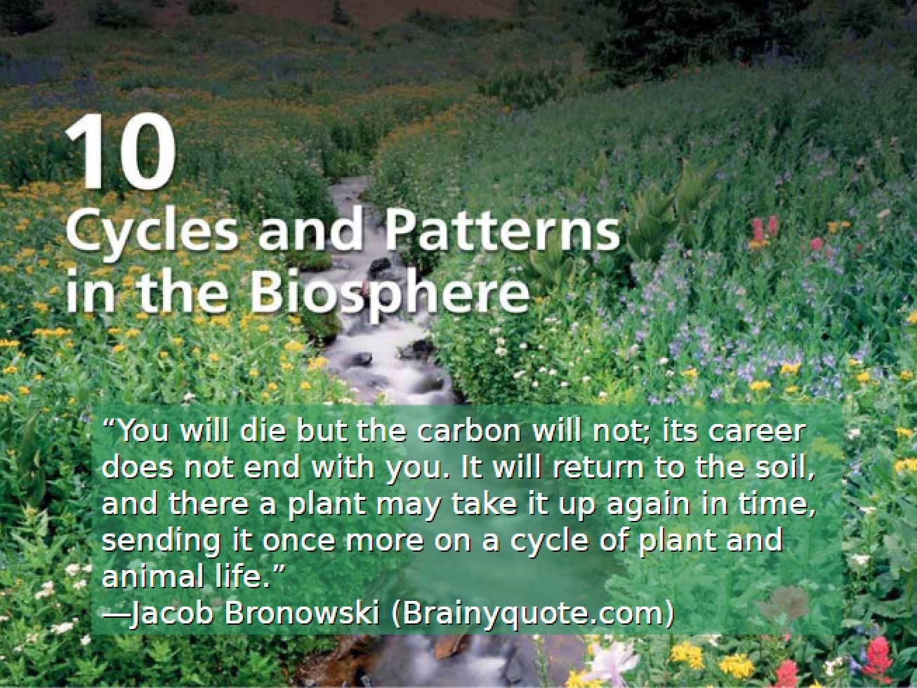 Patterns and Cycles