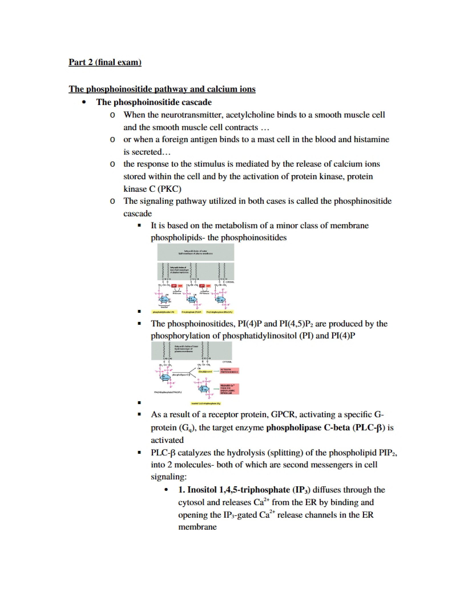 Final Assessment Component Two