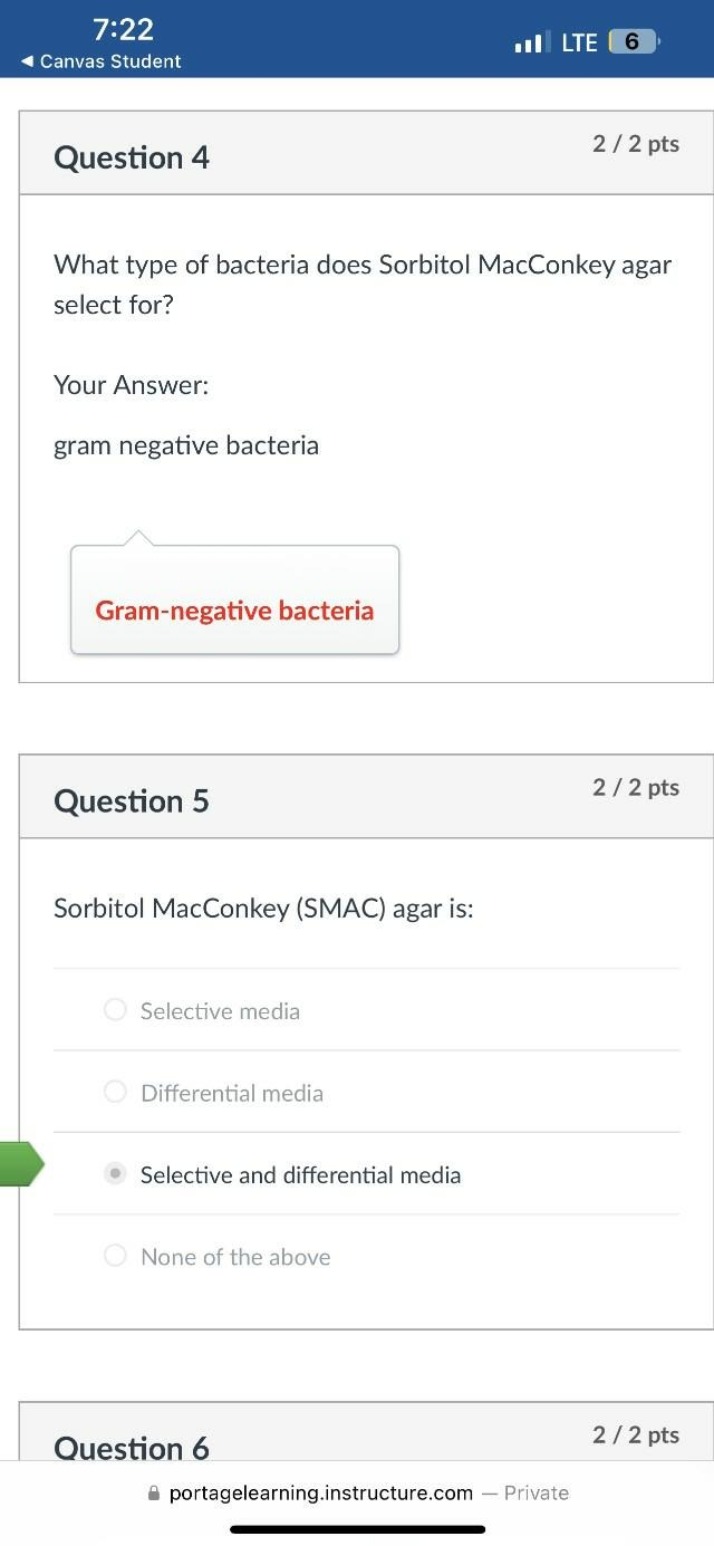 Selective Sorbitol MacConkey Agar