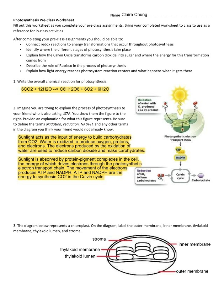Photosynthesis Pre-Class Worksheet Session 1