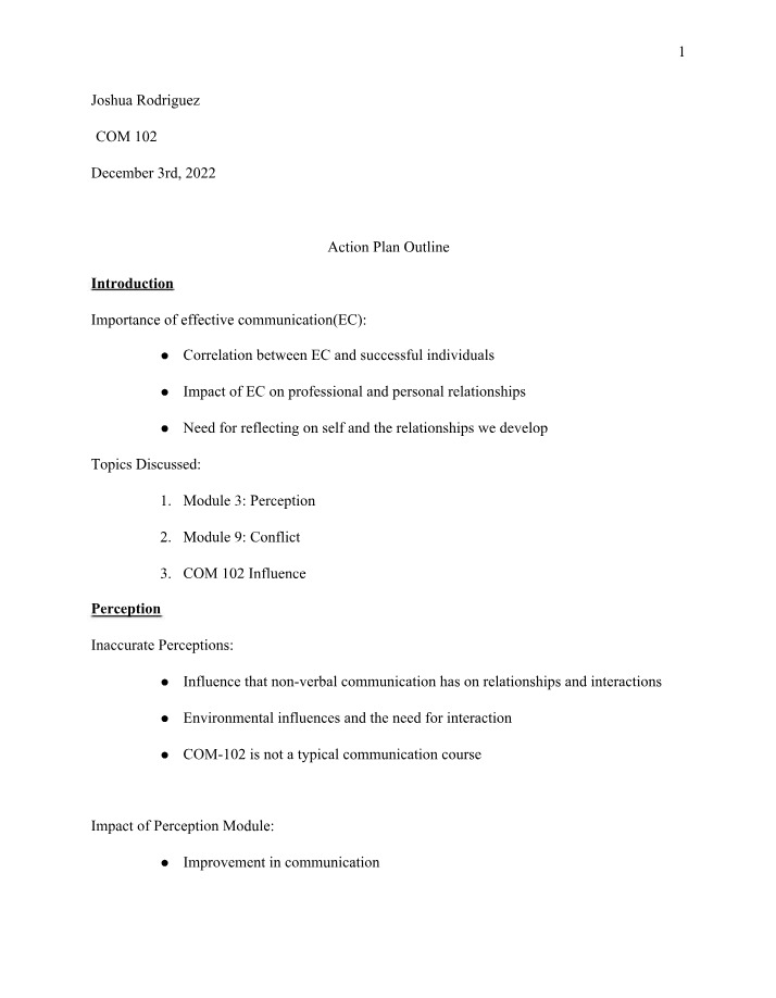 Outline for Action Plan