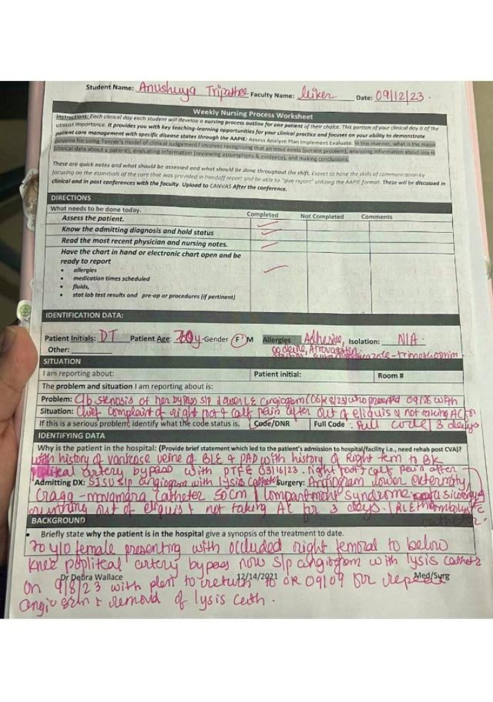 Nursing Process Weekly Worksheet