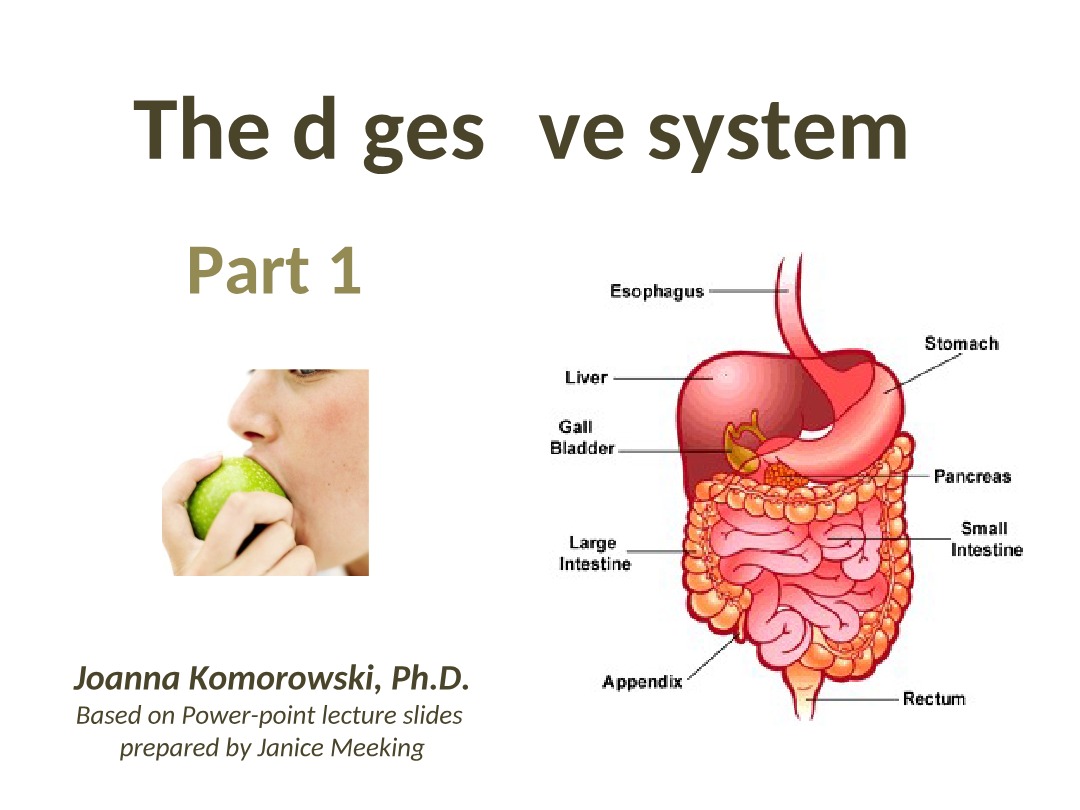 Part 1 of the Digestive System