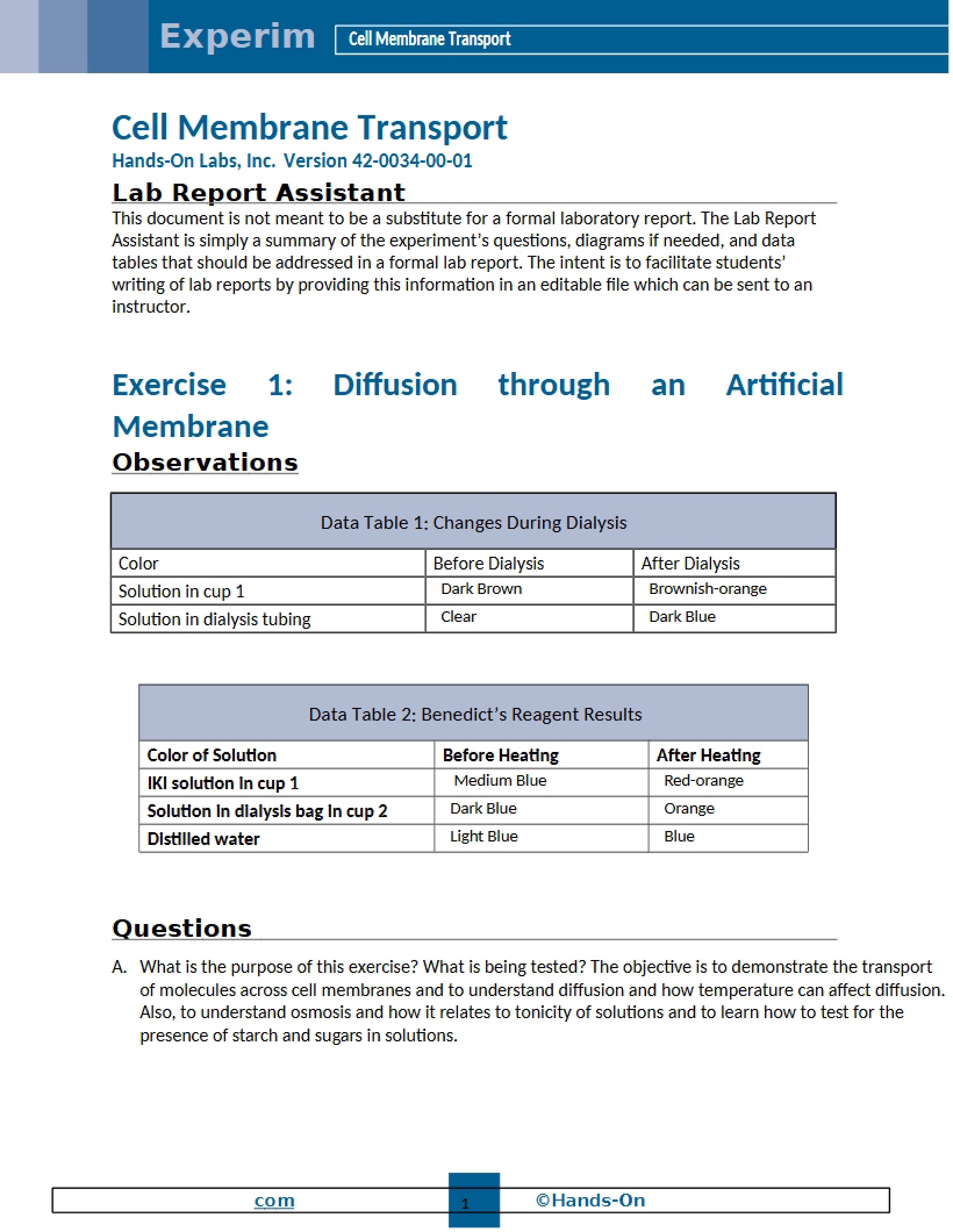 Cell Membrane Transport Lab Report (K. Smith)