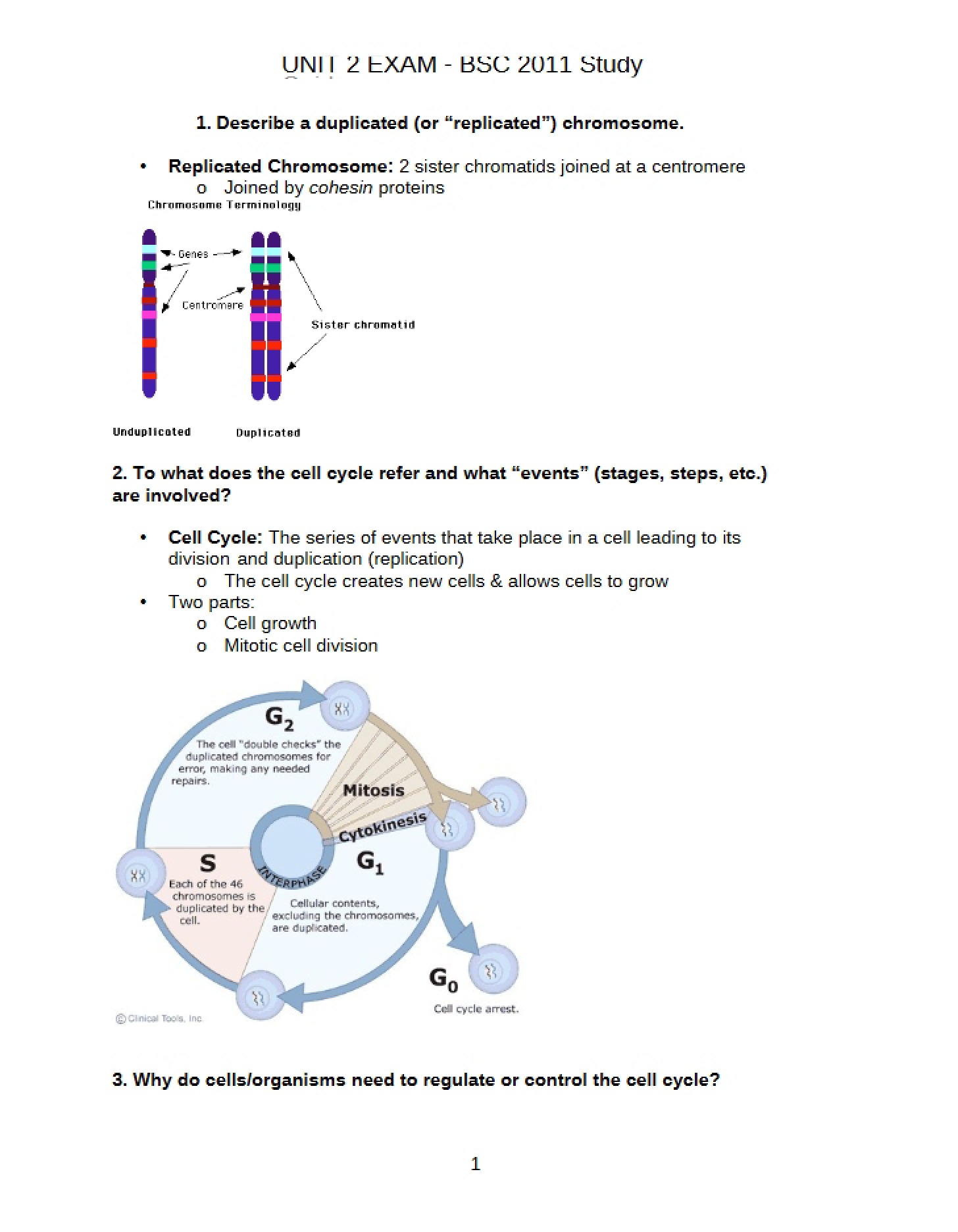 Chromosomal Replication Processes