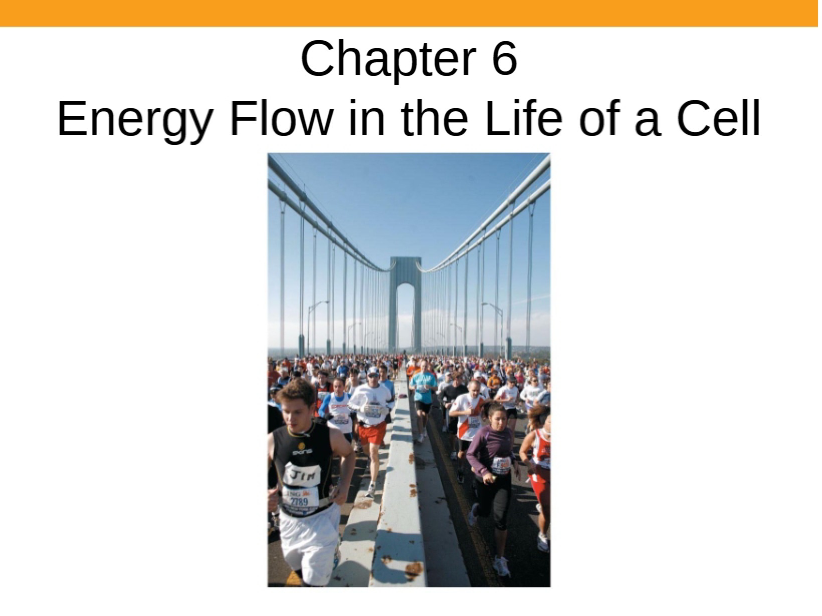 Cellular Energy Flow