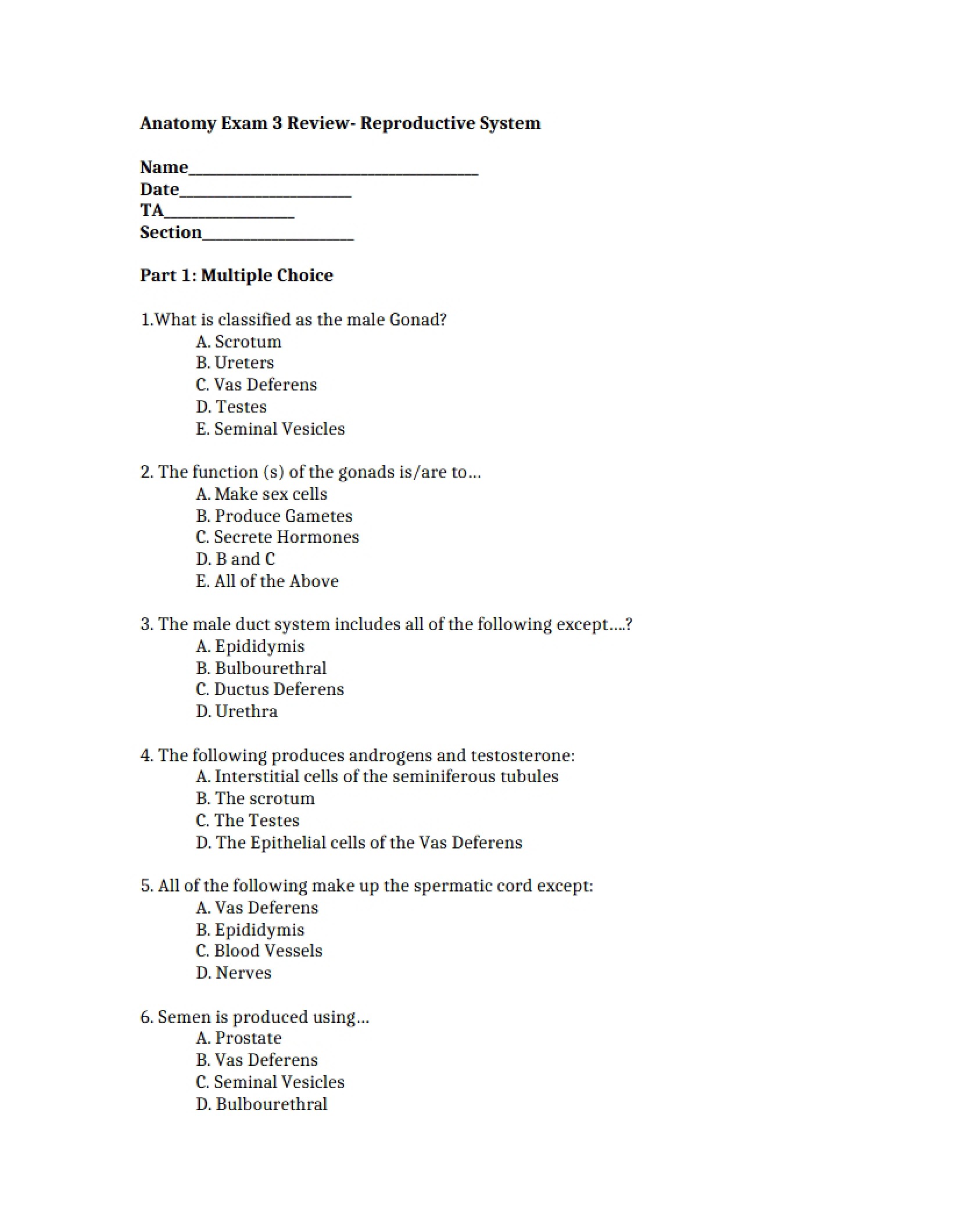 Third Anatomy Exam