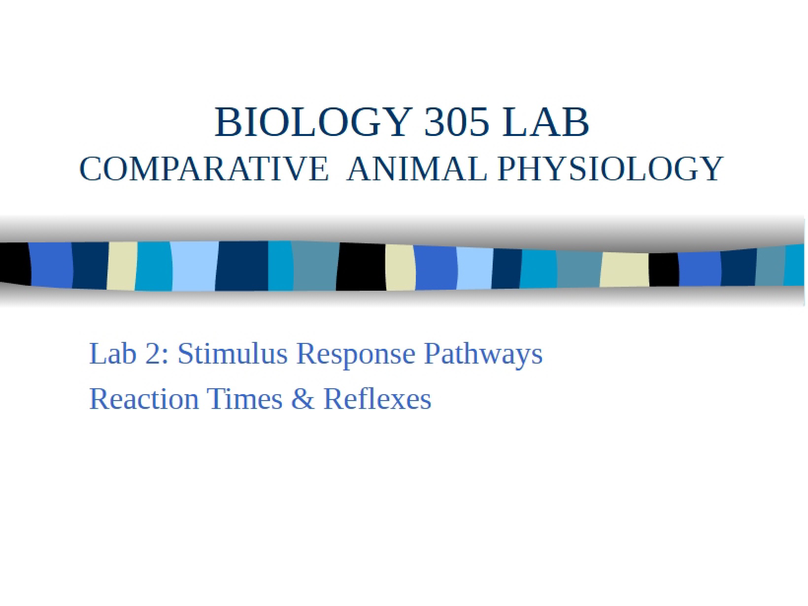 Lab Comparative Animal Physiology