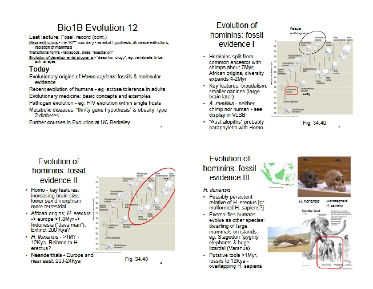 Evolution Module 12