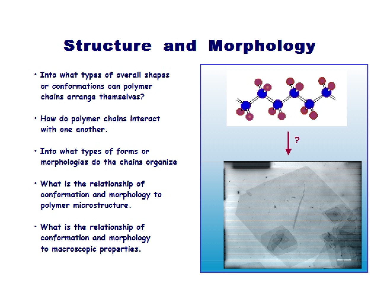 Morphology and Structure