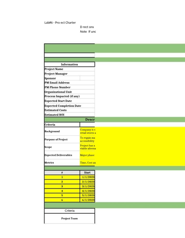 Charter Template for Projects