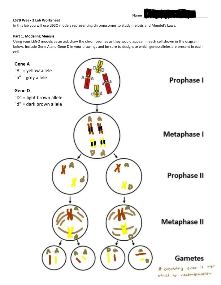 LS7B Week 2 Lab Worksheet Part B